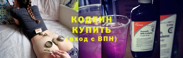дурь Алзамай