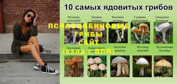 кокаин Алексеевка