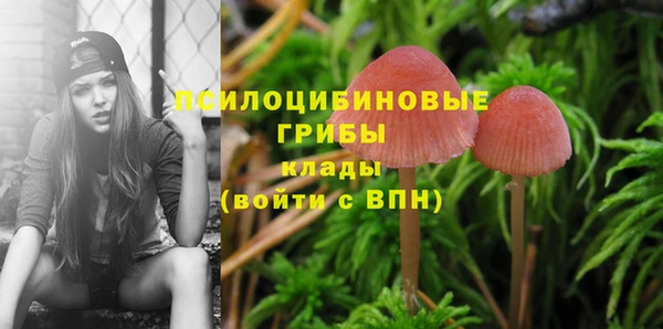 кокаин Алексеевка