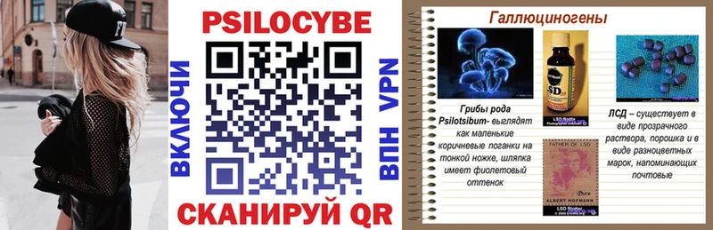 blacksprut ссылки  Сыктывкар  Галлюциногенные грибы Psilocybine cubensis 