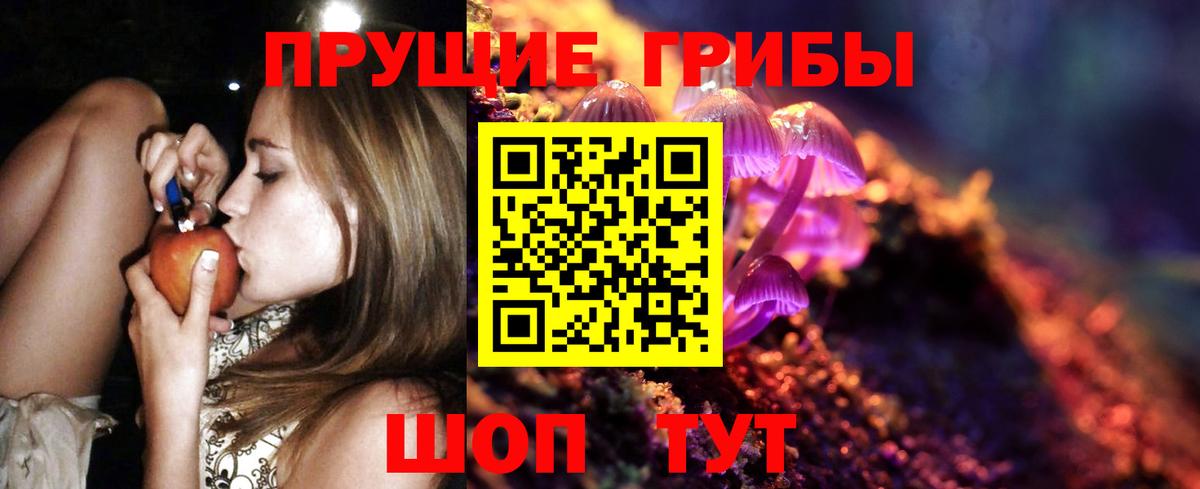 Сыктывкар  Галлюциногенные грибы Cubensis  Вход с VPN 